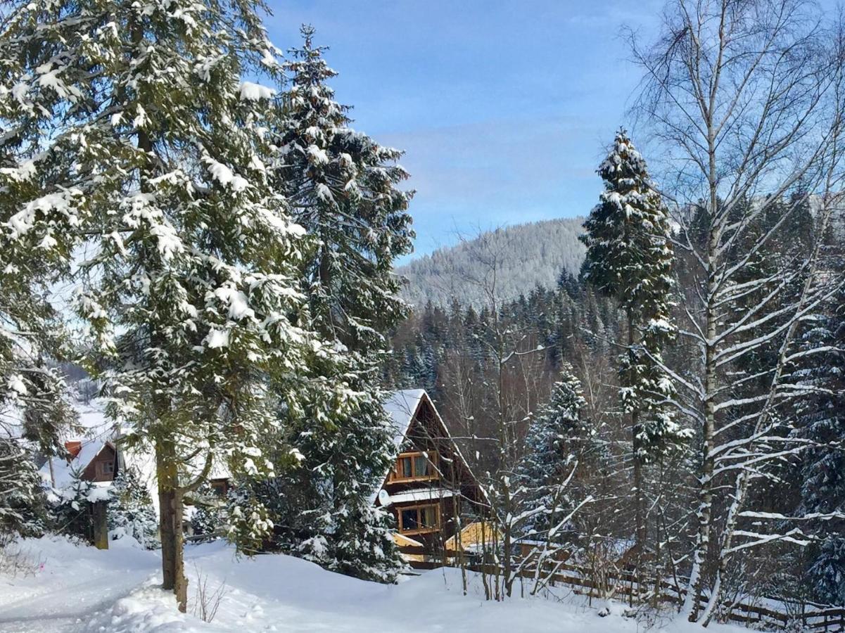 Winterfell Korbielow - Dom Z Basenem Sezonowym Lipiec-Sierpien 외부 사진